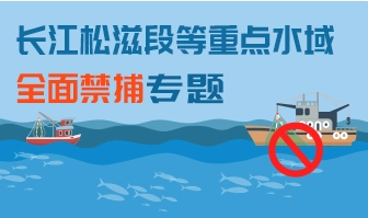 禁止捕魚